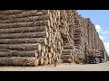 Inside America s Largest Wood Processing Factories How 4 000 Logs Become Lumber Plywood