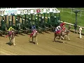 The 2025 Delaware Park Safari Sprint Camel Race