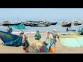 Download Lagu BIỂN LONG HẢI XÓM THÚNG LƯỚI DŨ TRÚNG HÀNG TẤN CÁ TRÍCH 
