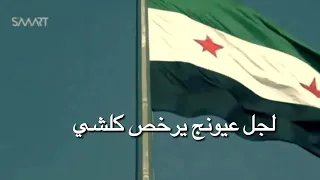 سوريا نبض 