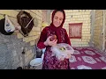 A Mother’s Love in Simple Village Life… Shahla’s Day Takes an Unexpected Turn! ❤️