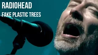 Download Radiohead - Fake Plastic Trees | subtitulada MP3