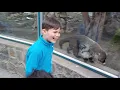 BEO ZOO, Belgrade