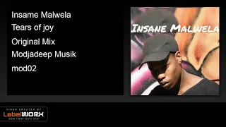 insame malwela tears of joy original mix 