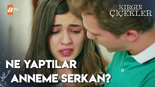 Serkan ve Defne'nin zorlu bekleyişi - Kırgın Çiçekler 44. Bölüm