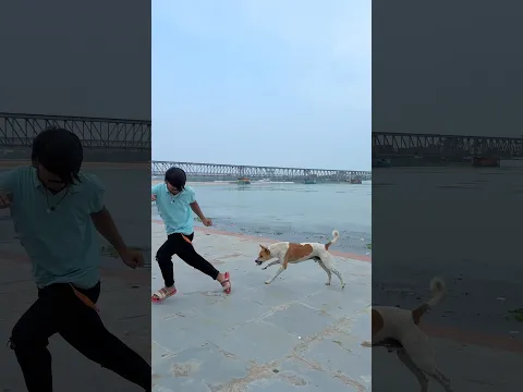 dog 🐶😰friendship speaks louderthan words😢#viraljump#talentedboystunt #dogapparel#funny