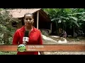 Download Lagu Nordeste Rural | Agricultores da Serra da Meruoca recebem título da terra