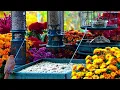🔴LIVE Peaceful Fall Cottage Bird Feeder: Song Birds, Cardinals, Nature Sounds, Sleep, Cat TV