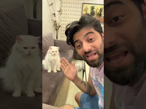Rani ne dieting shuru kar di 😃 #cat #tranding #catshorts #catcomedy #catfunny #priyesh0770