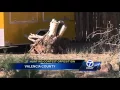 Valencia County may denounce hunting contests