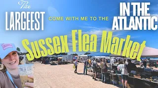 Let s Thrift at the Sussex Flea Market - the Largest in the Atlantic