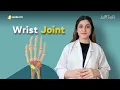 Wrist Joint Introduction Bone Ligaments and Muscles Anatomy Made Easy for Medical Students