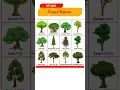 Trees Name in Hindi and English Learn Tree Names with Pictures