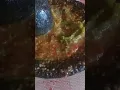 Download Lagu Sambel Tomat Daun Kemangi Surawung, Masakan Sederhana di Kampung