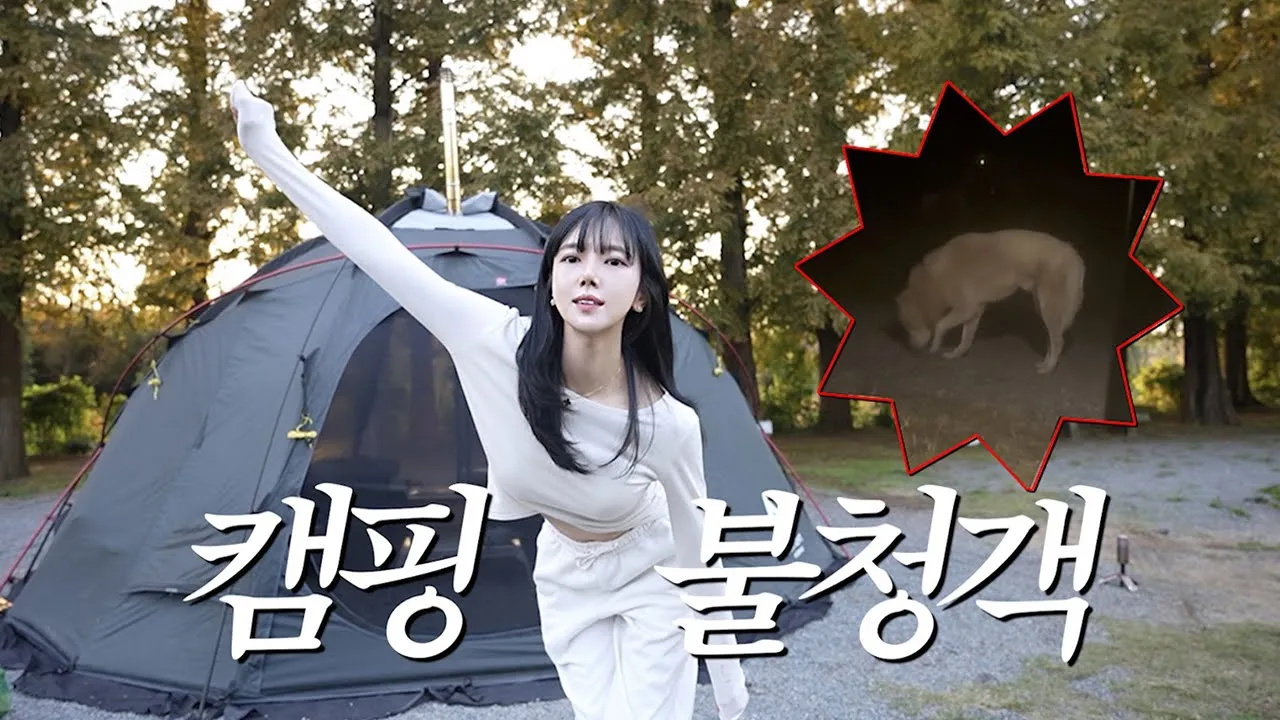 🏕️ 완벽한 줄 알았던 가을 솔로 캠핑에 찾아온 손님 💢⁉️ 소고기 우마카세🥩 불닭짜파게티 먹방 캠핑 브이로그 サムネイル