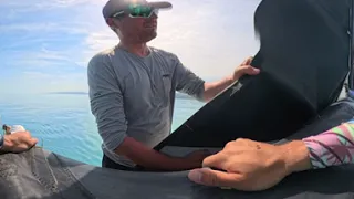                                                 دندنها