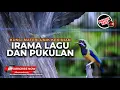 Lagu π΄ Live Masteran Irama Lagu dan Pukulan Kasar Tajam Lagu Andalan Cucak Cungkok Super Gacor Mewah