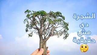 طريقة عمل مجسم شجرة واقعى جدا بطريقة سهلة وبسيطة 