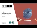 Orient Node In MASH Maya Arnold Renderer Tutorial