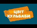 Цвіт Кульбаби - "Шуба песєц" (Park Klub)