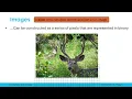 Representing Images in Binary