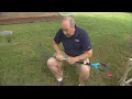 Best of Pat Sullivan What works to get rid of moles in your yard