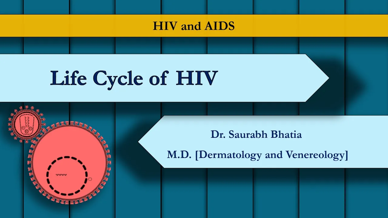 Life Cycle of HIV: Infection, Integration, Replication, Maturation, and Budding