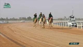 الشوط الأول   كأس سباق الهجانة حيل وثنايا   بكار   يوم الثلاثاء            دندنها