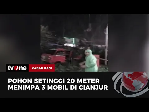 Pohon Tumbang di Cianjur Timpa Tiga Mobil usai Diguyur Hujan Deras Disertai Angin Kencang