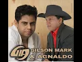 Cicatriz na voz de Gilson Mark e Agnaldo