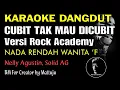 Download Lagu Cubit Tak Mau Dicubit Versi Rock Karaoke Nada Rendah Wanita