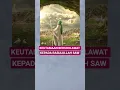 Download Lagu Semoga bermanfaat 🙏#shorts #rasulullah #ilmuagama