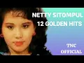 Download Lagu NETTY SITOMPUL 12 GOLDEN HITS