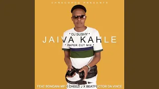 jaiva kahle paper cut mix 