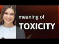Understanding Toxicity in English