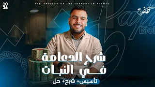 الدعامة في النبات ثانوية عامة 2026 مستر إسلام رمضان 