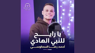 يا رايح للنبي الهادي   احمد رضا السمالوسي دندنها