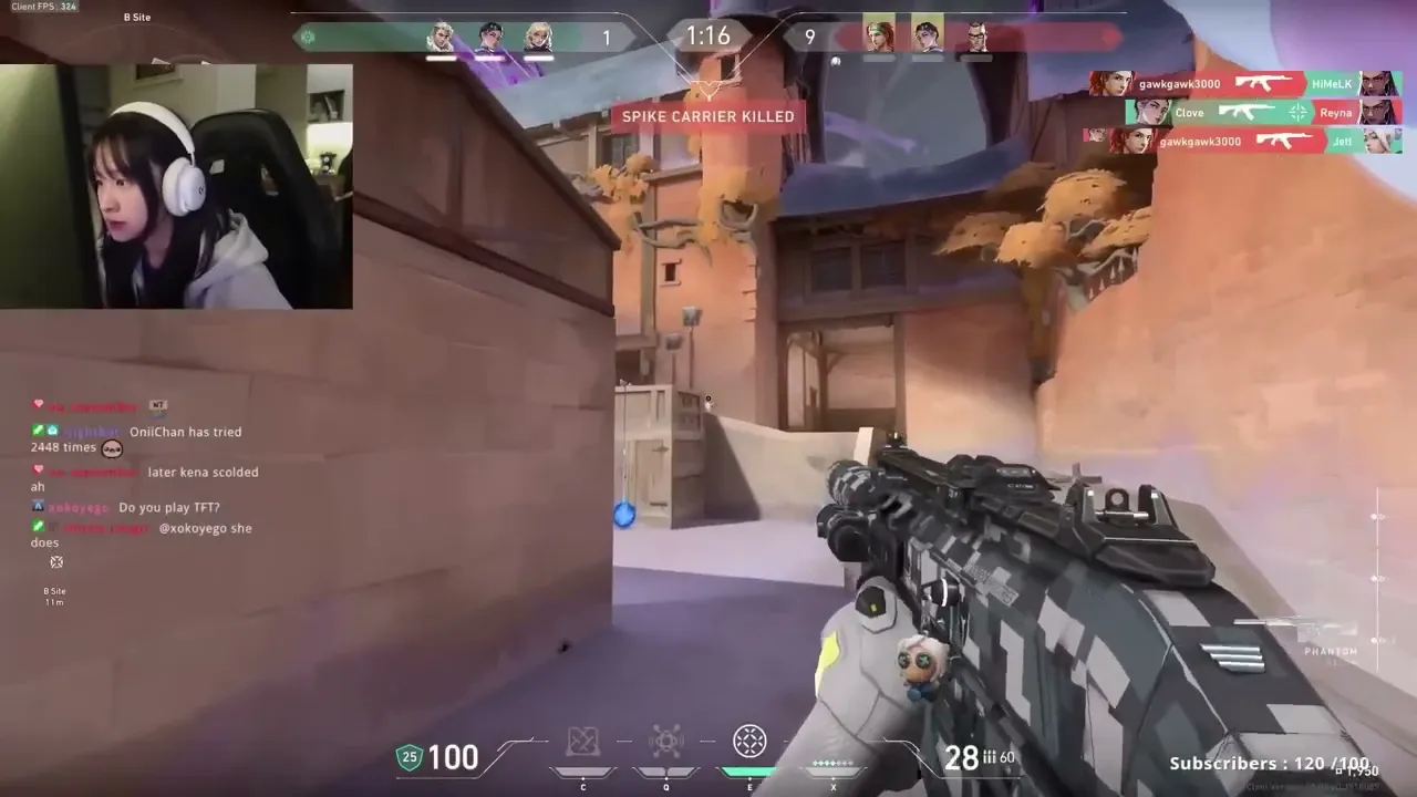 Video