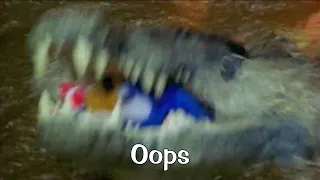Sonic's Biggest Mistake