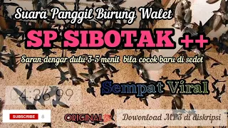 Download Suara walet panggil SP SIBOTAK ++ MP3