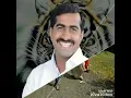 Amar shitole vita