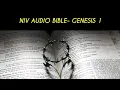 GENESIS 1 NIV BIBLE with text