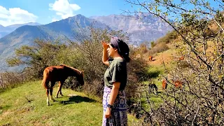 The Allure of Rural Life: A Journey Through Serene Villages and Nature