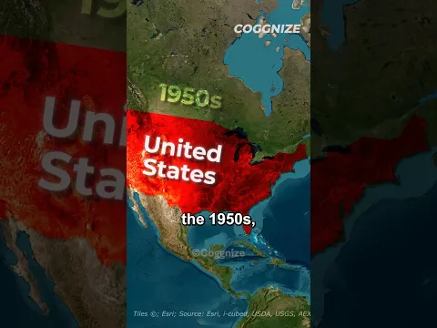 Why Did The Richest City In America Go Bankrupt? #shorts
