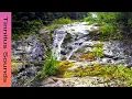Download Lagu Tinnitus Music Therapy, Best Tinnitus Sound Generator