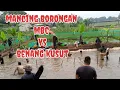 Download Lagu Mancing BMC vs benang kusut full setrek ikan gurame