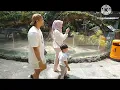Download Lagu LONG WEEKEND  #jatimpark2 Batu Secret zoo