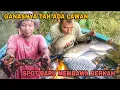 Download Lagu GANASNYA TAK ADA LAWAN || SPOT BARU MEMBAWA BERKAH 