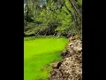 Eutrophication by environmental science