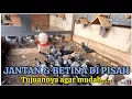 Download Lagu Kenapa jantan \u0026 betina di pisah ? Ini jawabannya